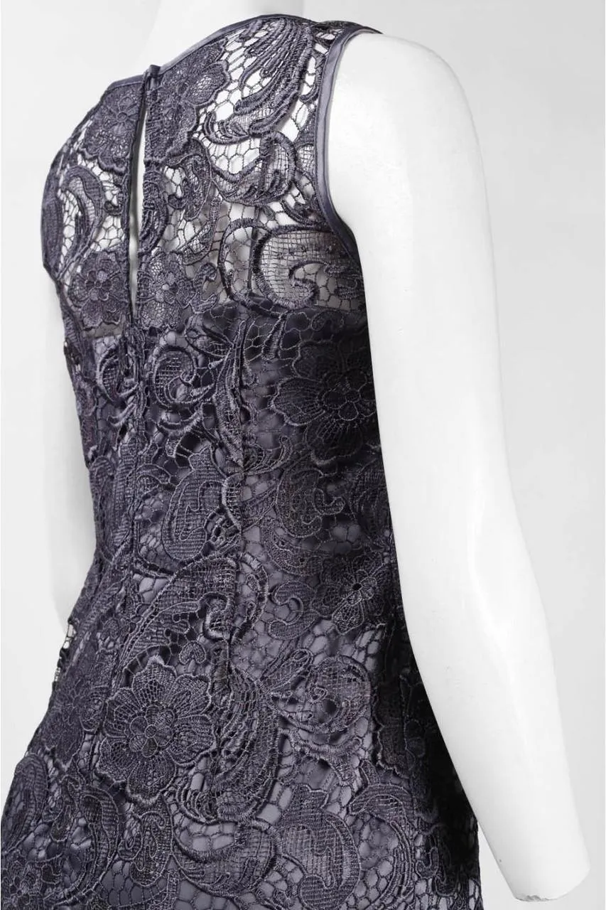 Adrianna Papell - Lace Overlay Dress 41863800