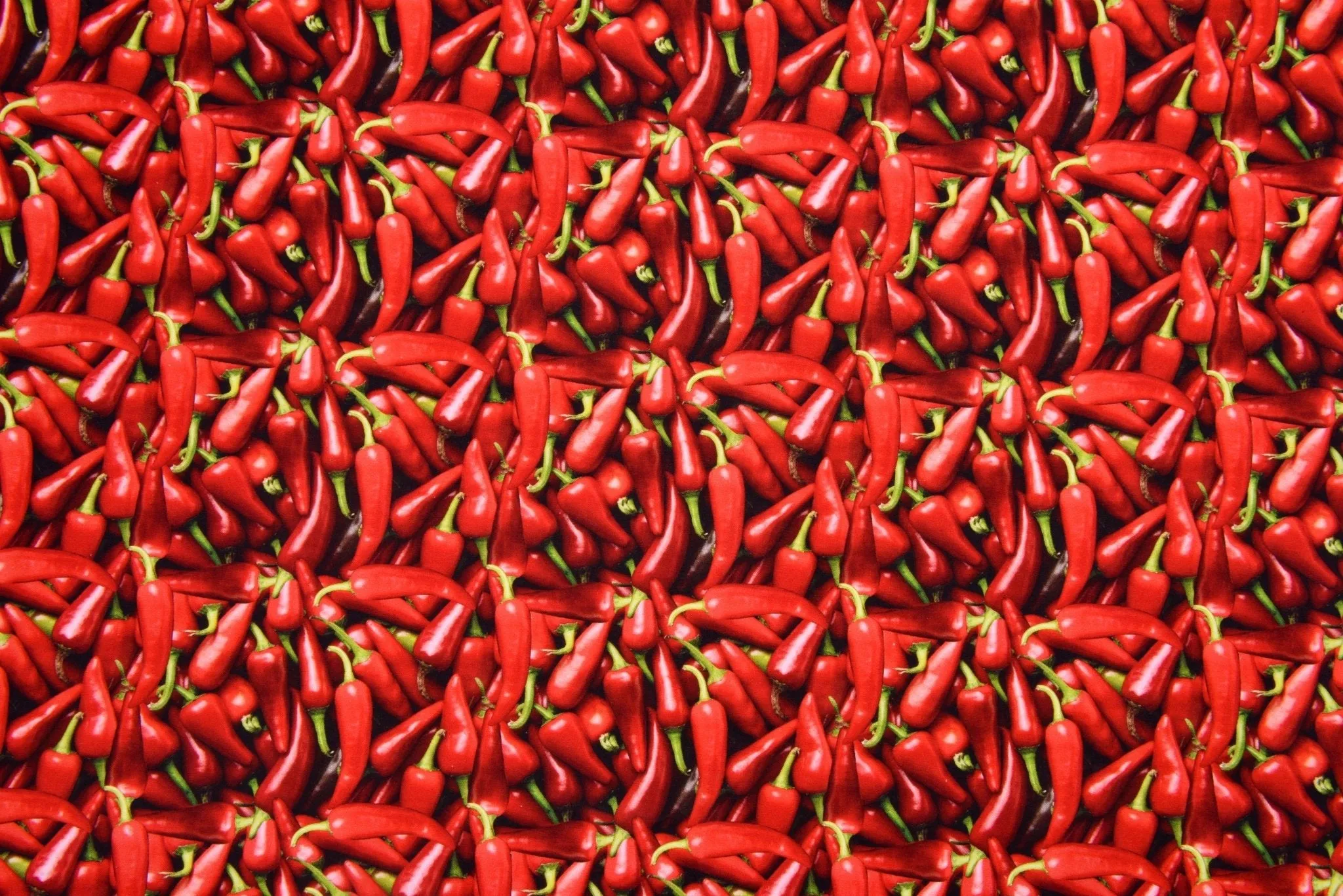 Quilted Cotton Woven Plain Textured Red Chili  Digital Print Fabric - D#26